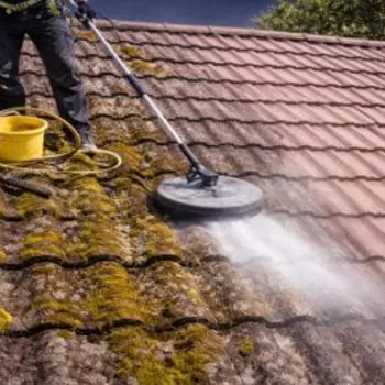 Démoussage et nettoyage de toiture dans la vallée de la Thur par l’entreprise Renovealsace